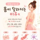 디톡더퓨어