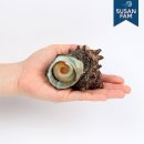 거제자연산회 이미지