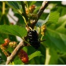 북한강 자전거도로8 이미지