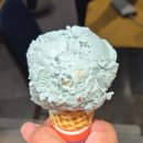 농업회사법인 ㈜그린 | [2025 스마트팜 청년창업 보육센터 8기] EP 3. 경북 상주 스마트팜혁신밸리 3주 차