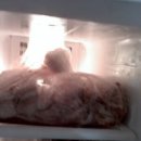 상어네 간식 이미지