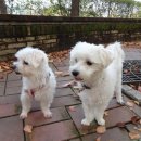 우람동물병원 이미지