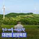 대관령 가볼만한곳 삼양목장 후기｜주차·입장료·셔틀버스·사진스팟 정리