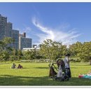 한강공원 이미지