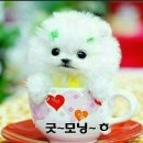 굿모닝 이미지