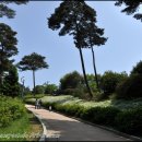 안면도자연휴양림 이미지