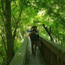 람사르습지길 이미지