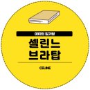 S | CELINE 셀린느 브라탑 S 후기
