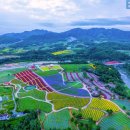 “여긴 정말 돈이 안 아까워요”… 트레킹 즐기기 좋은 9월 주상절리 잔도길 이미지