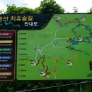 축령산숲마을