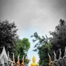 고려대학교 생명환경과학대학원 이미지