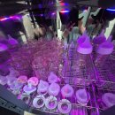 이모 | 대구산후도우미 추천 신생아 케어 베테랑 이모님 후기