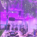 바디핏 피트니스 이미지