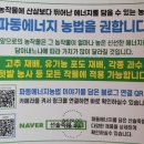 동차선가 이미지