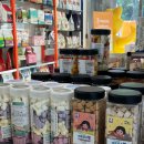 레이크펫스튜디오 이미지