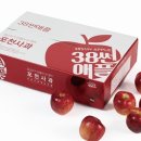 포천사과영농조합법인 이미지