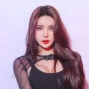 법무법인동서남북 이미지