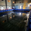 수원 드림바다 실내 낚시터 이미지