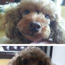 보성테니스장 이미지