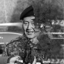 테티스 Daum카페