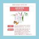 스킨스피어 이미지
