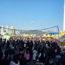 행복누리 태권도 | 마산 가고파 국화축제 탐스러운 국화꽃의 향연