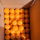 호원농장 이미지