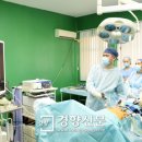 양지의료기 경향신문