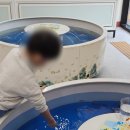 여주곤충박물관 이미지