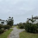 메이 더 카라반 이미지