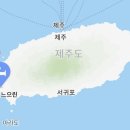 스테이느으린 이미지
