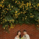 스튜디오빨간벽돌 | 이포토에세이 야외 빨간벽돌+비내리는 장면 후기