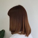 폴헤어(PAUL HAIR) 네이버블로그