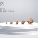히든 보청기 동수원매탄지사 이미지