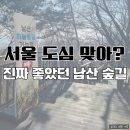 한울공원 버스정류장(북측) | 남산 둘레길 코스 추천｜남산 북측숲길 따라 남산타워 찍고 서울역까지 걷기 후기