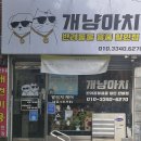 개냥아치 이미지