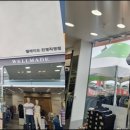 웰메이드진영 이미지