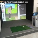 신호스크린골프