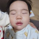 삼성아동병원 | 동탄 센트럴아동병원 17개월아기 고열 급성인두염 신년맞이 2박3일 입원후기 1인실 2인실 소아식 굿닥어플