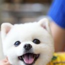 피이아이커피 이미지