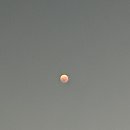 홍쌤 떡볶이 이미지