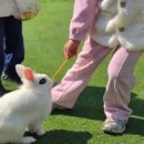 상어동천 이미지