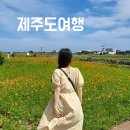 제이에스농원 | 제주도 패키지 홈쇼핑 여행 3박4일 첫째날,둘째날 후기
