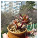 건홍사 이미지