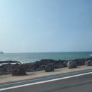제주스테이 멀리 | 제주독채펜션 스테이멀리-제주멀리 이용 후기 제주 한림 숙소 추천!
