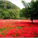 선운산농장 이미지