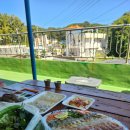 빨강민박 | 삼척중앙시장맛집 삼척대왕횟집 모듬회 매운탕 포장후기 (Feat. 삼척중앙시장 주차)