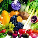 메디포유 이미지