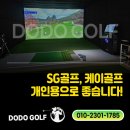 아바타콘솔방 | 개인용 스크린골프 설치 가이드 SG골프 필드 P3 vs 케이골프 BGS