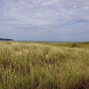 교동정미소 이미지